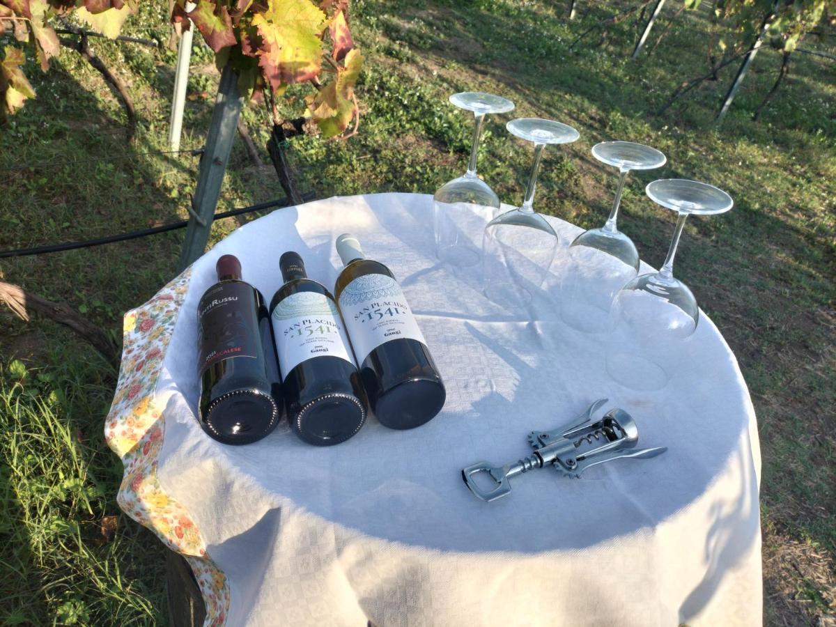 Etnasentieri Wine House On Etna Mount Villa Belpasso Ngoại thất bức ảnh