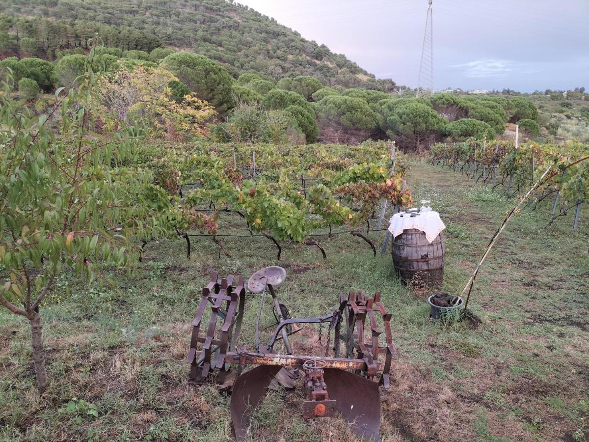 Etnasentieri Wine House On Etna Mount Villa Belpasso Ngoại thất bức ảnh