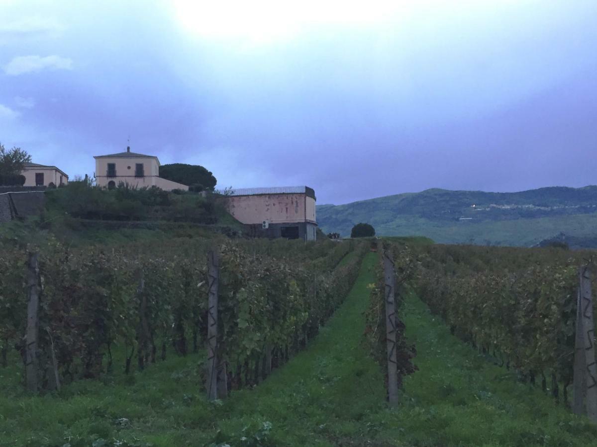Etnasentieri Wine House On Etna Mount Villa Belpasso Ngoại thất bức ảnh
